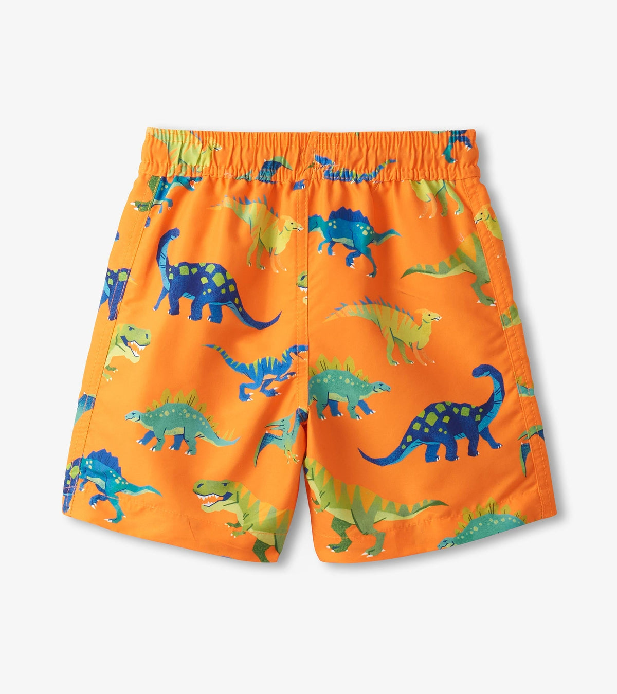 Boys Colorblock Dino Swim Shorts - Hatley Boys