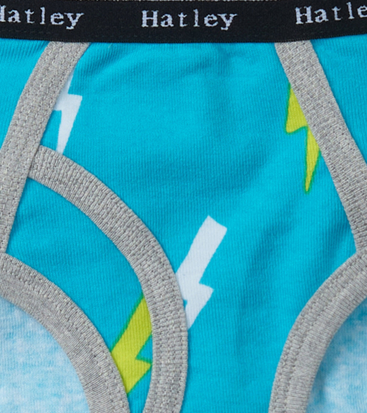 Boys Silhouette Nature 3 Pack Classic Briefs - Hatley Boys