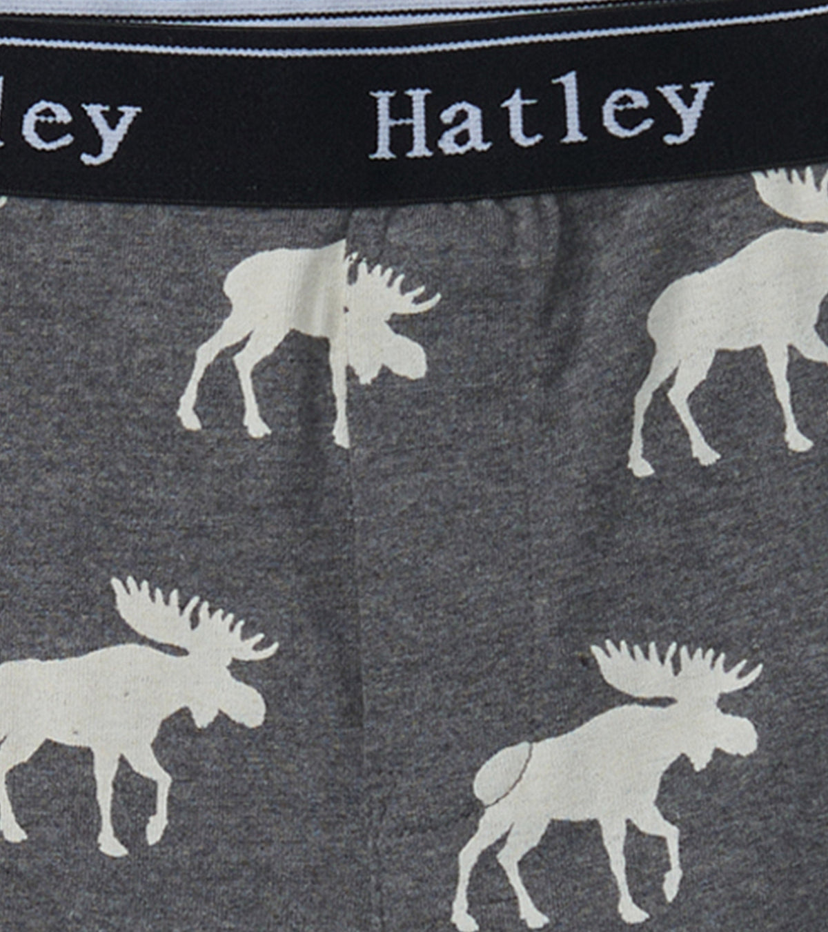 Boys Silhouette Animals 3 Pack Boxer Briefs - Hatley Boys