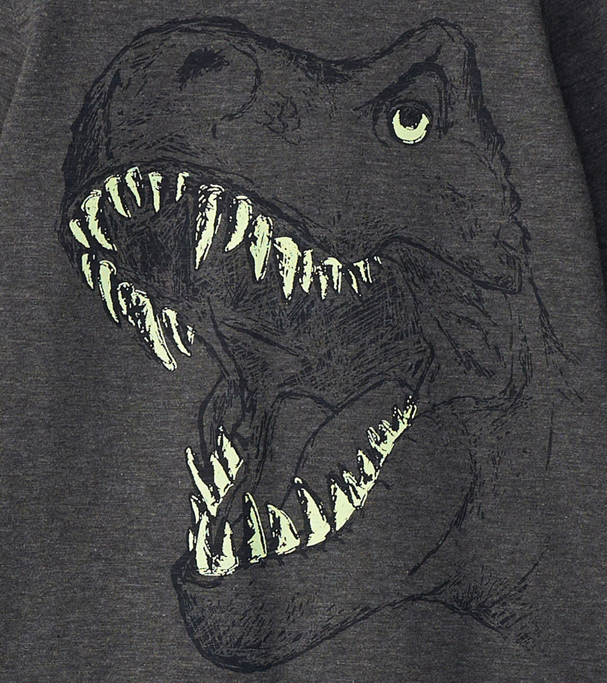 Boys T-Rex Glow in the Dark Long Sleeve T-Shirt - Hatley Boys
