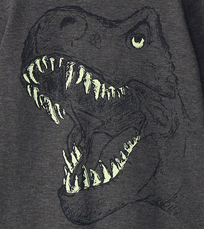 Boys T-Rex Glow in the Dark Long Sleeve T-Shirt - Hatley Boys