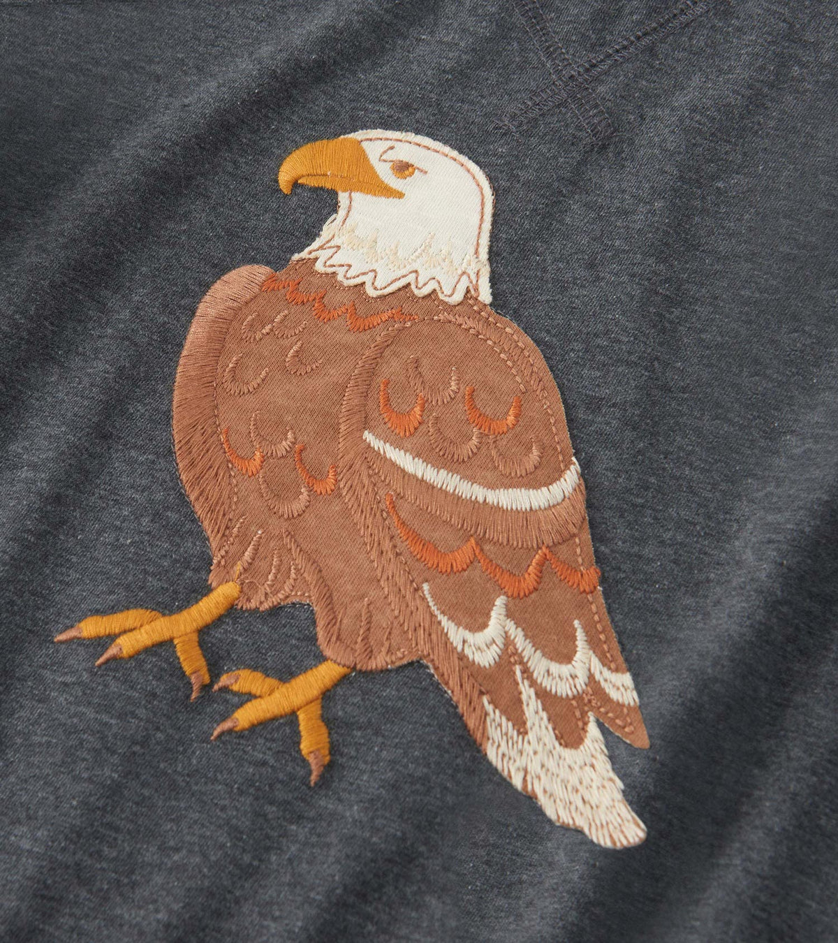 Boys Eagle Long Sleeve Raglan T-Shirt - Hatley Boys