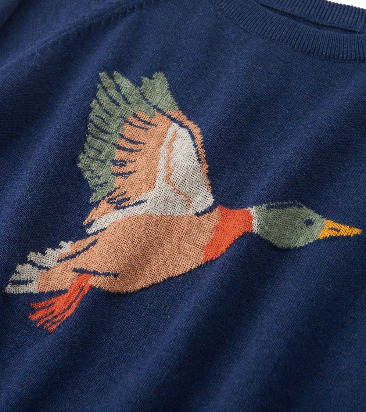 Boys Duck Crew Neck Sweater - Hatley Boys