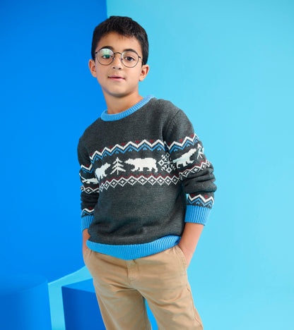 Boys Polar Winter Crew Neck Sweater - Hatley Boys