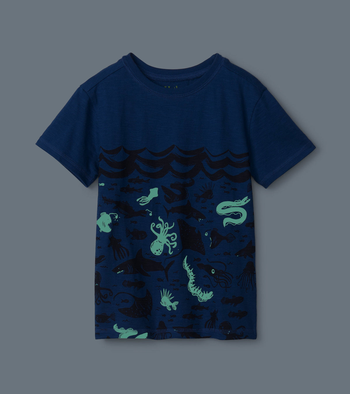 Ocean Glow In The Dark Graphic Tee - Hatley Boys