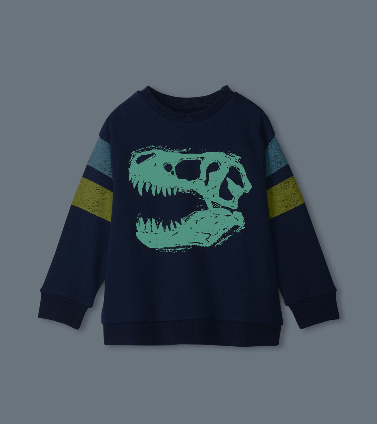 Boys Dino Glow Pullover Sweatshirt - Hatley Boys