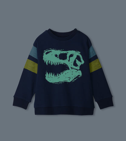 Boys Dino Glow Pullover Sweatshirt - Hatley Boys