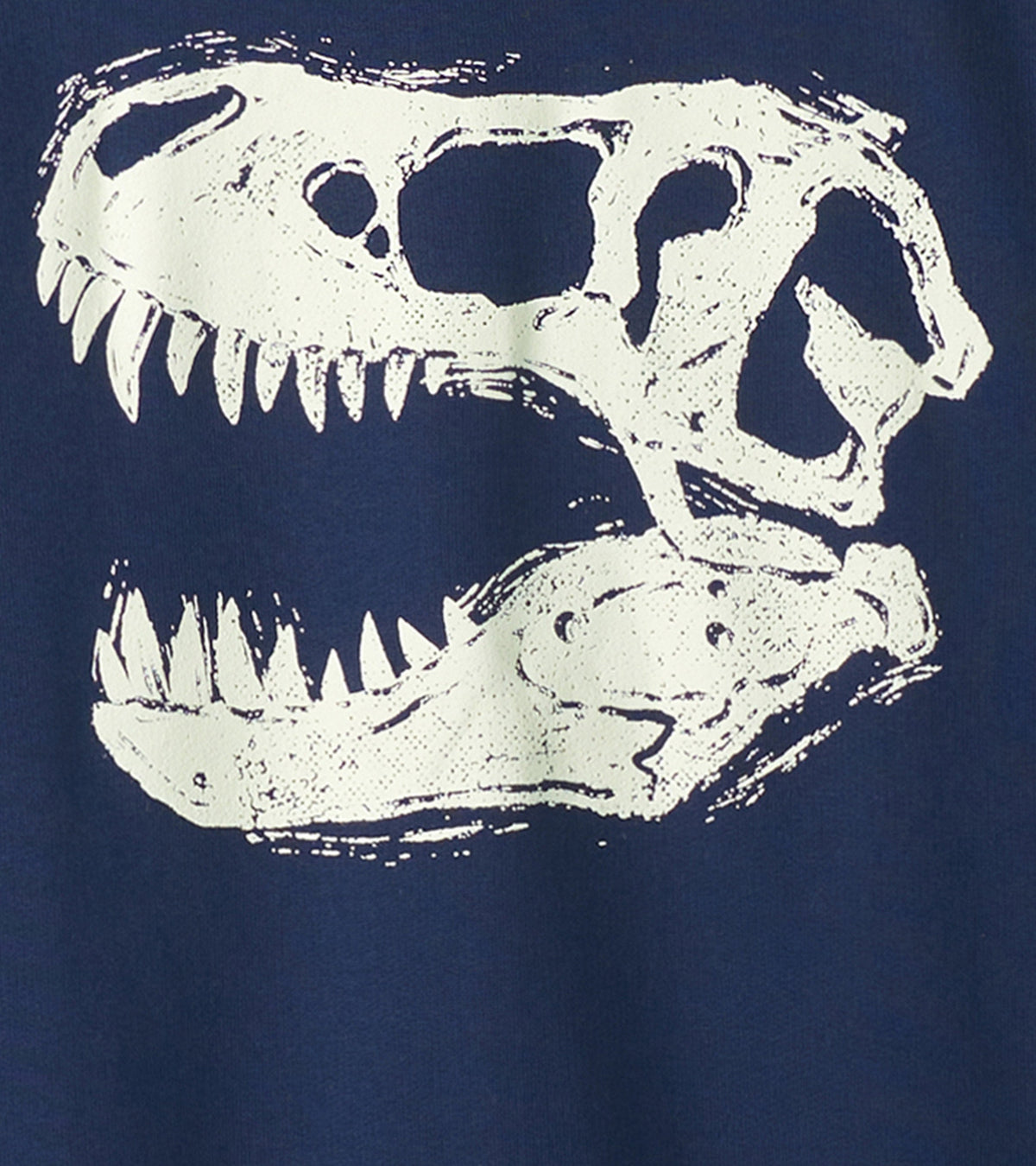 Boys Dino Glow Pullover Sweatshirt - Hatley Boys