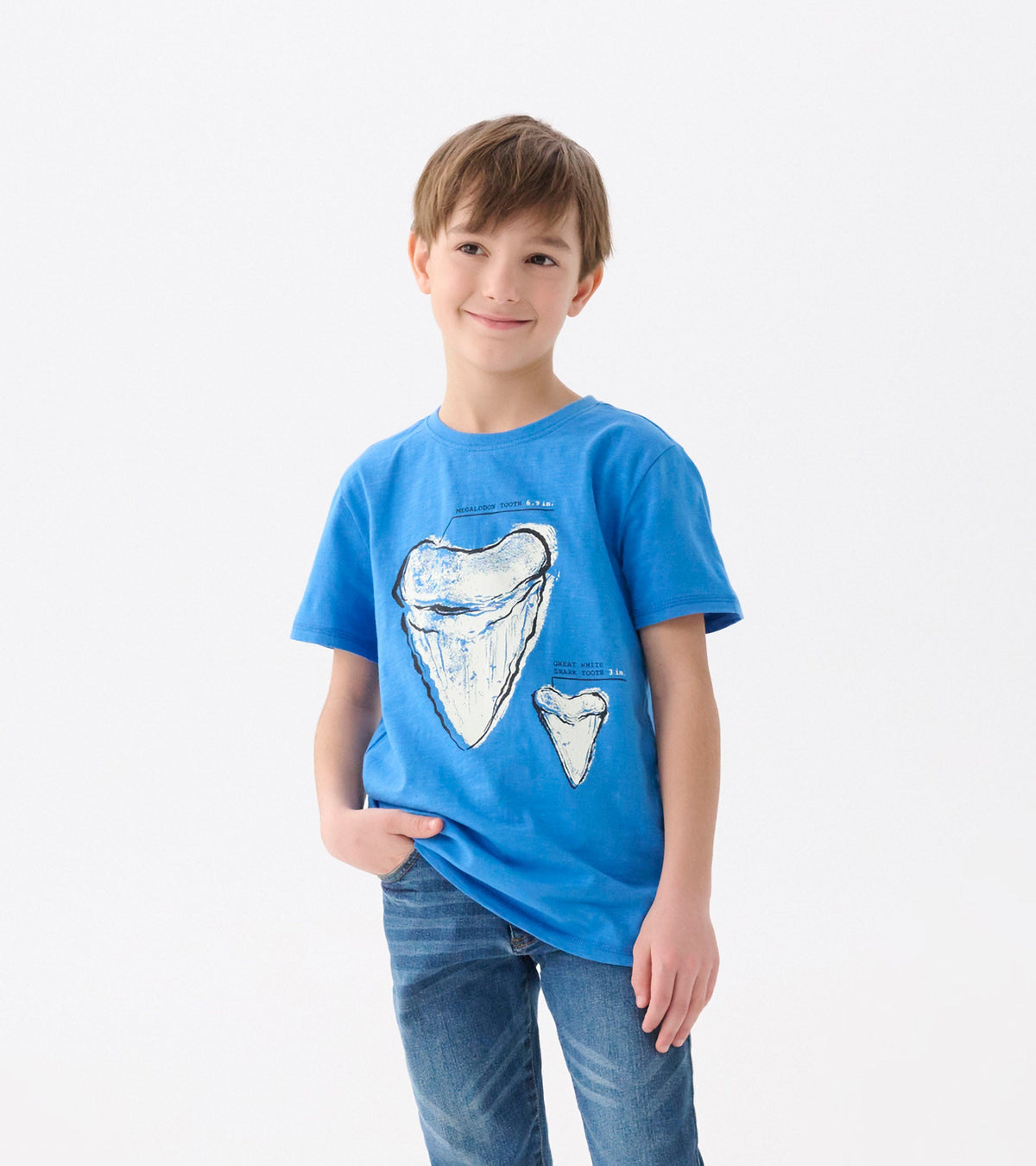 Boys Shark Tooth Glow in the Dark Graphic Tee - Hatley Boys