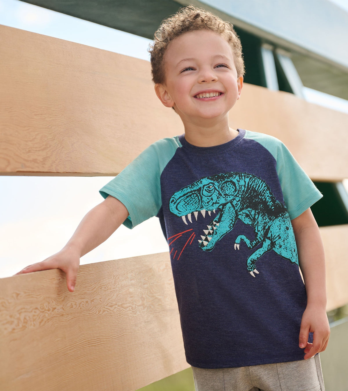 Boys T-Rex Raglan T-Shirt - Hatley Boys