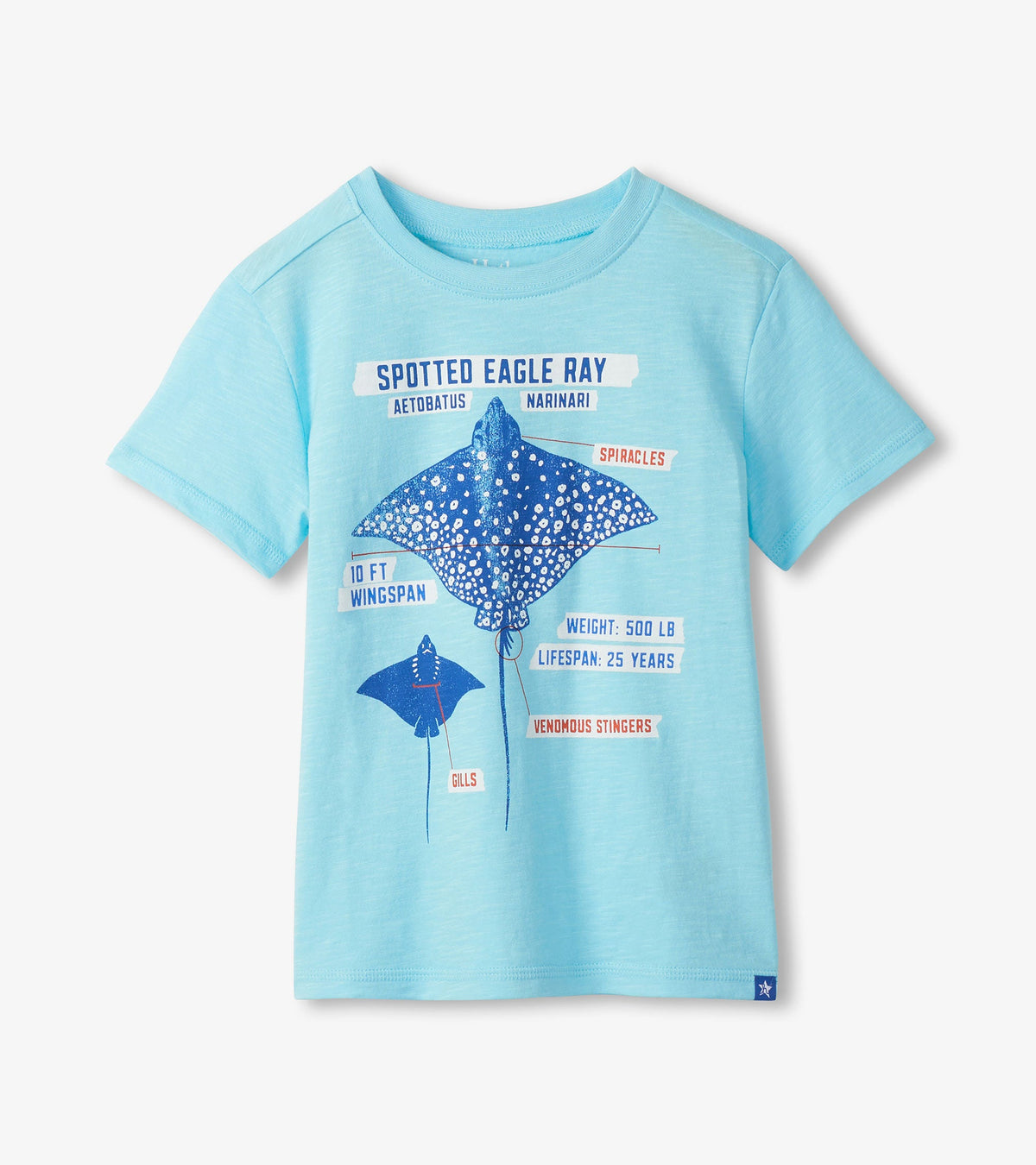 Boys Sting Ray Graphic Tee - Hatley Boys