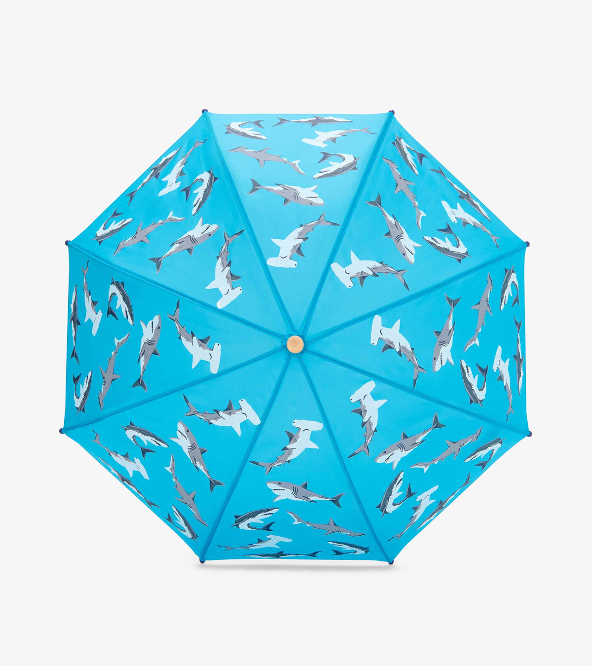 Boys Shark Party Umbrella - Hatley Boys